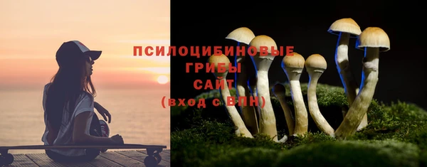 синтетический гашиш Белокуриха