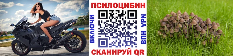 Галлюциногенные грибы MAGIC MUSHROOMS  Бородино 