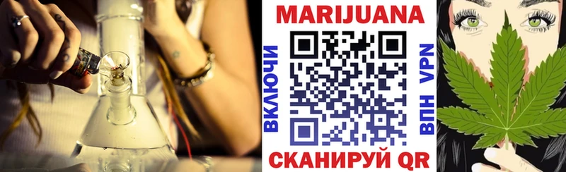 Каннабис план  Бородино 